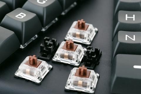 Gateron vs Cherry- Which Switches Should You Choose? - X-Bows Store